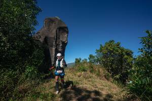 BIB: 
                            <button type="button" onclick="openModal(26576888)" class="btn btn-primary btn-sm float-right btn-popup" data-toggle="modal" data-target=".modal-high-quality">
                        <i class="fas fa-shopping-cart"></i> Add to Cart
                    </button>
                                            <button type="button" onclick="isThisMe(26576888, true)" class="btn btn-success btn-sm float-right btn-popup btn-isme hidden" data-toggle="tooltip" data-placement="bottom" title="นี่คือรูปของคุณใช่ไหม คลิกที่นี่เพื่อเอาเข้าอัลบั้ม">
                        <i class="fas fa-plus"></i> Add to album
                    </button>
                    <button type="button" onclick="isThisMe(26576888, false)" class="btn btn-warning btn-sm float-right btn-popup btn-isnotme hidden">
                        <i class="fas fa-ban"></i> Remove from album
                    </button>