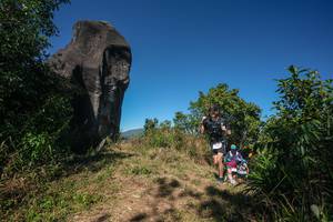 BIB: 
                            <button type="button" onclick="openModal(26578389)" class="btn btn-primary btn-sm float-right btn-popup" data-toggle="modal" data-target=".modal-high-quality">
                        <i class="fas fa-shopping-cart"></i> Add to Cart
                    </button>
                                            <button type="button" onclick="isThisMe(26578389, true)" class="btn btn-success btn-sm float-right btn-popup btn-isme hidden" data-toggle="tooltip" data-placement="bottom" title="นี่คือรูปของคุณใช่ไหม คลิกที่นี่เพื่อเอาเข้าอัลบั้ม">
                        <i class="fas fa-plus"></i> Add to album
                    </button>
                    <button type="button" onclick="isThisMe(26578389, false)" class="btn btn-warning btn-sm float-right btn-popup btn-isnotme hidden">
                        <i class="fas fa-ban"></i> Remove from album
                    </button>