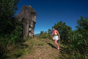 BIB: 
                            <button type="button" onclick="openModal(26573188)" class="btn btn-primary btn-sm float-right btn-popup" data-toggle="modal" data-target=".modal-high-quality">
                        <i class="fas fa-shopping-cart"></i> Add to Cart
                    </button>
                                            <button type="button" onclick="isThisMe(26573188, true)" class="btn btn-success btn-sm float-right btn-popup btn-isme hidden" data-toggle="tooltip" data-placement="bottom" title="นี่คือรูปของคุณใช่ไหม คลิกที่นี่เพื่อเอาเข้าอัลบั้ม">
                        <i class="fas fa-plus"></i> Add to album
                    </button>
                    <button type="button" onclick="isThisMe(26573188, false)" class="btn btn-warning btn-sm float-right btn-popup btn-isnotme hidden">
                        <i class="fas fa-ban"></i> Remove from album
                    </button>