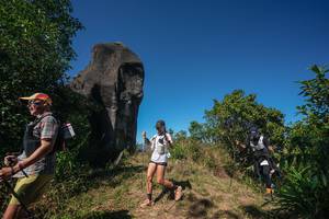 BIB: 
                            <button type="button" onclick="openModal(26578691)" class="btn btn-primary btn-sm float-right btn-popup" data-toggle="modal" data-target=".modal-high-quality">
                        <i class="fas fa-shopping-cart"></i> Add to Cart
                    </button>
                                            <button type="button" onclick="isThisMe(26578691, true)" class="btn btn-success btn-sm float-right btn-popup btn-isme hidden" data-toggle="tooltip" data-placement="bottom" title="นี่คือรูปของคุณใช่ไหม คลิกที่นี่เพื่อเอาเข้าอัลบั้ม">
                        <i class="fas fa-plus"></i> Add to album
                    </button>
                    <button type="button" onclick="isThisMe(26578691, false)" class="btn btn-warning btn-sm float-right btn-popup btn-isnotme hidden">
                        <i class="fas fa-ban"></i> Remove from album
                    </button>