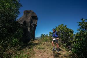 BIB: 
                            <button type="button" onclick="openModal(26579021)" class="btn btn-primary btn-sm float-right btn-popup" data-toggle="modal" data-target=".modal-high-quality">
                        <i class="fas fa-shopping-cart"></i> Add to Cart
                    </button>
                                            <button type="button" onclick="isThisMe(26579021, true)" class="btn btn-success btn-sm float-right btn-popup btn-isme hidden" data-toggle="tooltip" data-placement="bottom" title="นี่คือรูปของคุณใช่ไหม คลิกที่นี่เพื่อเอาเข้าอัลบั้ม">
                        <i class="fas fa-plus"></i> Add to album
                    </button>
                    <button type="button" onclick="isThisMe(26579021, false)" class="btn btn-warning btn-sm float-right btn-popup btn-isnotme hidden">
                        <i class="fas fa-ban"></i> Remove from album
                    </button>