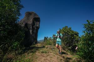 BIB: 
                            <button type="button" onclick="openModal(26579492)" class="btn btn-primary btn-sm float-right btn-popup" data-toggle="modal" data-target=".modal-high-quality">
                        <i class="fas fa-shopping-cart"></i> Add to Cart
                    </button>
                                            <button type="button" onclick="isThisMe(26579492, true)" class="btn btn-success btn-sm float-right btn-popup btn-isme hidden" data-toggle="tooltip" data-placement="bottom" title="นี่คือรูปของคุณใช่ไหม คลิกที่นี่เพื่อเอาเข้าอัลบั้ม">
                        <i class="fas fa-plus"></i> Add to album
                    </button>
                    <button type="button" onclick="isThisMe(26579492, false)" class="btn btn-warning btn-sm float-right btn-popup btn-isnotme hidden">
                        <i class="fas fa-ban"></i> Remove from album
                    </button>