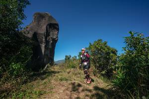 BIB: 
                            <button type="button" onclick="openModal(26578452)" class="btn btn-primary btn-sm float-right btn-popup" data-toggle="modal" data-target=".modal-high-quality">
                        <i class="fas fa-shopping-cart"></i> Add to Cart
                    </button>
                                            <button type="button" onclick="isThisMe(26578452, true)" class="btn btn-success btn-sm float-right btn-popup btn-isme hidden" data-toggle="tooltip" data-placement="bottom" title="นี่คือรูปของคุณใช่ไหม คลิกที่นี่เพื่อเอาเข้าอัลบั้ม">
                        <i class="fas fa-plus"></i> Add to album
                    </button>
                    <button type="button" onclick="isThisMe(26578452, false)" class="btn btn-warning btn-sm float-right btn-popup btn-isnotme hidden">
                        <i class="fas fa-ban"></i> Remove from album
                    </button>