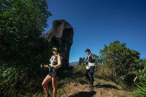 BIB: 
                            <button type="button" onclick="openModal(26585775)" class="btn btn-primary btn-sm float-right btn-popup" data-toggle="modal" data-target=".modal-high-quality">
                        <i class="fas fa-shopping-cart"></i> Add to Cart
                    </button>
                                            <button type="button" onclick="isThisMe(26585775, true)" class="btn btn-success btn-sm float-right btn-popup btn-isme hidden" data-toggle="tooltip" data-placement="bottom" title="นี่คือรูปของคุณใช่ไหม คลิกที่นี่เพื่อเอาเข้าอัลบั้ม">
                        <i class="fas fa-plus"></i> Add to album
                    </button>
                    <button type="button" onclick="isThisMe(26585775, false)" class="btn btn-warning btn-sm float-right btn-popup btn-isnotme hidden">
                        <i class="fas fa-ban"></i> Remove from album
                    </button>