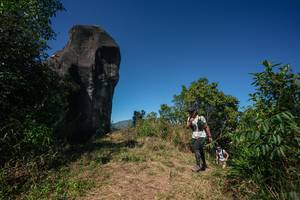 BIB: 
                            <button type="button" onclick="openModal(26581005)" class="btn btn-primary btn-sm float-right btn-popup" data-toggle="modal" data-target=".modal-high-quality">
                        <i class="fas fa-shopping-cart"></i> Add to Cart
                    </button>
                                            <button type="button" onclick="isThisMe(26581005, true)" class="btn btn-success btn-sm float-right btn-popup btn-isme hidden" data-toggle="tooltip" data-placement="bottom" title="นี่คือรูปของคุณใช่ไหม คลิกที่นี่เพื่อเอาเข้าอัลบั้ม">
                        <i class="fas fa-plus"></i> Add to album
                    </button>
                    <button type="button" onclick="isThisMe(26581005, false)" class="btn btn-warning btn-sm float-right btn-popup btn-isnotme hidden">
                        <i class="fas fa-ban"></i> Remove from album
                    </button>