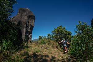 BIB: 
                            <button type="button" onclick="openModal(26576447)" class="btn btn-primary btn-sm float-right btn-popup" data-toggle="modal" data-target=".modal-high-quality">
                        <i class="fas fa-shopping-cart"></i> Add to Cart
                    </button>
                                            <button type="button" onclick="isThisMe(26576447, true)" class="btn btn-success btn-sm float-right btn-popup btn-isme hidden" data-toggle="tooltip" data-placement="bottom" title="นี่คือรูปของคุณใช่ไหม คลิกที่นี่เพื่อเอาเข้าอัลบั้ม">
                        <i class="fas fa-plus"></i> Add to album
                    </button>
                    <button type="button" onclick="isThisMe(26576447, false)" class="btn btn-warning btn-sm float-right btn-popup btn-isnotme hidden">
                        <i class="fas fa-ban"></i> Remove from album
                    </button>