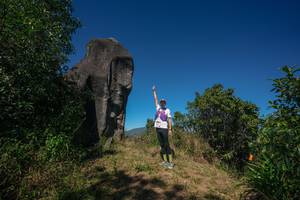 BIB: 
                            <button type="button" onclick="openModal(26576058)" class="btn btn-primary btn-sm float-right btn-popup" data-toggle="modal" data-target=".modal-high-quality">
                        <i class="fas fa-shopping-cart"></i> Add to Cart
                    </button>
                                            <button type="button" onclick="isThisMe(26576058, true)" class="btn btn-success btn-sm float-right btn-popup btn-isme hidden" data-toggle="tooltip" data-placement="bottom" title="นี่คือรูปของคุณใช่ไหม คลิกที่นี่เพื่อเอาเข้าอัลบั้ม">
                        <i class="fas fa-plus"></i> Add to album
                    </button>
                    <button type="button" onclick="isThisMe(26576058, false)" class="btn btn-warning btn-sm float-right btn-popup btn-isnotme hidden">
                        <i class="fas fa-ban"></i> Remove from album
                    </button>