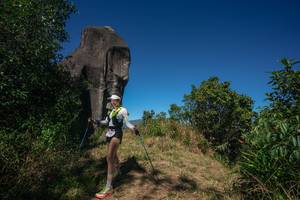 BIB: 
                            <button type="button" onclick="openModal(26575487)" class="btn btn-primary btn-sm float-right btn-popup" data-toggle="modal" data-target=".modal-high-quality">
                        <i class="fas fa-shopping-cart"></i> Add to Cart
                    </button>
                                            <button type="button" onclick="isThisMe(26575487, true)" class="btn btn-success btn-sm float-right btn-popup btn-isme hidden" data-toggle="tooltip" data-placement="bottom" title="นี่คือรูปของคุณใช่ไหม คลิกที่นี่เพื่อเอาเข้าอัลบั้ม">
                        <i class="fas fa-plus"></i> Add to album
                    </button>
                    <button type="button" onclick="isThisMe(26575487, false)" class="btn btn-warning btn-sm float-right btn-popup btn-isnotme hidden">
                        <i class="fas fa-ban"></i> Remove from album
                    </button>