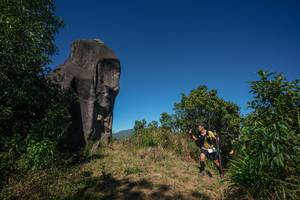 BIB: 
                            <button type="button" onclick="openModal(26575914)" class="btn btn-primary btn-sm float-right btn-popup" data-toggle="modal" data-target=".modal-high-quality">
                        <i class="fas fa-shopping-cart"></i> Add to Cart
                    </button>
                                            <button type="button" onclick="isThisMe(26575914, true)" class="btn btn-success btn-sm float-right btn-popup btn-isme hidden" data-toggle="tooltip" data-placement="bottom" title="นี่คือรูปของคุณใช่ไหม คลิกที่นี่เพื่อเอาเข้าอัลบั้ม">
                        <i class="fas fa-plus"></i> Add to album
                    </button>
                    <button type="button" onclick="isThisMe(26575914, false)" class="btn btn-warning btn-sm float-right btn-popup btn-isnotme hidden">
                        <i class="fas fa-ban"></i> Remove from album
                    </button>