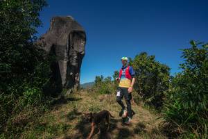 BIB: 
                            <button type="button" onclick="openModal(26576857)" class="btn btn-primary btn-sm float-right btn-popup" data-toggle="modal" data-target=".modal-high-quality">
                        <i class="fas fa-shopping-cart"></i> Add to Cart
                    </button>
                                            <button type="button" onclick="isThisMe(26576857, true)" class="btn btn-success btn-sm float-right btn-popup btn-isme hidden" data-toggle="tooltip" data-placement="bottom" title="นี่คือรูปของคุณใช่ไหม คลิกที่นี่เพื่อเอาเข้าอัลบั้ม">
                        <i class="fas fa-plus"></i> Add to album
                    </button>
                    <button type="button" onclick="isThisMe(26576857, false)" class="btn btn-warning btn-sm float-right btn-popup btn-isnotme hidden">
                        <i class="fas fa-ban"></i> Remove from album
                    </button>