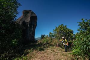 BIB: 
                            <button type="button" onclick="openModal(26585106)" class="btn btn-primary btn-sm float-right btn-popup" data-toggle="modal" data-target=".modal-high-quality">
                        <i class="fas fa-shopping-cart"></i> Add to Cart
                    </button>
                                            <button type="button" onclick="isThisMe(26585106, true)" class="btn btn-success btn-sm float-right btn-popup btn-isme hidden" data-toggle="tooltip" data-placement="bottom" title="นี่คือรูปของคุณใช่ไหม คลิกที่นี่เพื่อเอาเข้าอัลบั้ม">
                        <i class="fas fa-plus"></i> Add to album
                    </button>
                    <button type="button" onclick="isThisMe(26585106, false)" class="btn btn-warning btn-sm float-right btn-popup btn-isnotme hidden">
                        <i class="fas fa-ban"></i> Remove from album
                    </button>