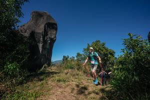 BIB: 
                            <button type="button" onclick="openModal(26578827)" class="btn btn-primary btn-sm float-right btn-popup" data-toggle="modal" data-target=".modal-high-quality">
                        <i class="fas fa-shopping-cart"></i> Add to Cart
                    </button>
                                            <button type="button" onclick="isThisMe(26578827, true)" class="btn btn-success btn-sm float-right btn-popup btn-isme hidden" data-toggle="tooltip" data-placement="bottom" title="นี่คือรูปของคุณใช่ไหม คลิกที่นี่เพื่อเอาเข้าอัลบั้ม">
                        <i class="fas fa-plus"></i> Add to album
                    </button>
                    <button type="button" onclick="isThisMe(26578827, false)" class="btn btn-warning btn-sm float-right btn-popup btn-isnotme hidden">
                        <i class="fas fa-ban"></i> Remove from album
                    </button>