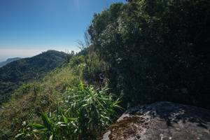 BIB: 
                            <button type="button" onclick="openModal(26572549)" class="btn btn-primary btn-sm float-right btn-popup" data-toggle="modal" data-target=".modal-high-quality">
                        <i class="fas fa-shopping-cart"></i> Add to Cart
                    </button>
                                            <button type="button" onclick="isThisMe(26572549, true)" class="btn btn-success btn-sm float-right btn-popup btn-isme hidden" data-toggle="tooltip" data-placement="bottom" title="นี่คือรูปของคุณใช่ไหม คลิกที่นี่เพื่อเอาเข้าอัลบั้ม">
                        <i class="fas fa-plus"></i> Add to album
                    </button>
                    <button type="button" onclick="isThisMe(26572549, false)" class="btn btn-warning btn-sm float-right btn-popup btn-isnotme hidden">
                        <i class="fas fa-ban"></i> Remove from album
                    </button>