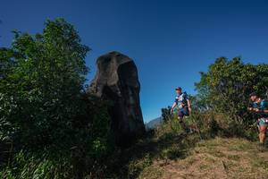 BIB: 
                            <button type="button" onclick="openModal(26585056)" class="btn btn-primary btn-sm float-right btn-popup" data-toggle="modal" data-target=".modal-high-quality">
                        <i class="fas fa-shopping-cart"></i> Add to Cart
                    </button>
                                            <button type="button" onclick="isThisMe(26585056, true)" class="btn btn-success btn-sm float-right btn-popup btn-isme hidden" data-toggle="tooltip" data-placement="bottom" title="นี่คือรูปของคุณใช่ไหม คลิกที่นี่เพื่อเอาเข้าอัลบั้ม">
                        <i class="fas fa-plus"></i> Add to album
                    </button>
                    <button type="button" onclick="isThisMe(26585056, false)" class="btn btn-warning btn-sm float-right btn-popup btn-isnotme hidden">
                        <i class="fas fa-ban"></i> Remove from album
                    </button>