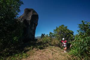 BIB: 
                            <button type="button" onclick="openModal(26585246)" class="btn btn-primary btn-sm float-right btn-popup" data-toggle="modal" data-target=".modal-high-quality">
                        <i class="fas fa-shopping-cart"></i> Add to Cart
                    </button>
                                            <button type="button" onclick="isThisMe(26585246, true)" class="btn btn-success btn-sm float-right btn-popup btn-isme hidden" data-toggle="tooltip" data-placement="bottom" title="นี่คือรูปของคุณใช่ไหม คลิกที่นี่เพื่อเอาเข้าอัลบั้ม">
                        <i class="fas fa-plus"></i> Add to album
                    </button>
                    <button type="button" onclick="isThisMe(26585246, false)" class="btn btn-warning btn-sm float-right btn-popup btn-isnotme hidden">
                        <i class="fas fa-ban"></i> Remove from album
                    </button>