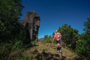 BIB: 
                            <button type="button" onclick="openModal(26576736)" class="btn btn-primary btn-sm float-right btn-popup" data-toggle="modal" data-target=".modal-high-quality">
                        <i class="fas fa-shopping-cart"></i> Add to Cart
                    </button>
                                            <button type="button" onclick="isThisMe(26576736, true)" class="btn btn-success btn-sm float-right btn-popup btn-isme hidden" data-toggle="tooltip" data-placement="bottom" title="นี่คือรูปของคุณใช่ไหม คลิกที่นี่เพื่อเอาเข้าอัลบั้ม">
                        <i class="fas fa-plus"></i> Add to album
                    </button>
                    <button type="button" onclick="isThisMe(26576736, false)" class="btn btn-warning btn-sm float-right btn-popup btn-isnotme hidden">
                        <i class="fas fa-ban"></i> Remove from album
                    </button>