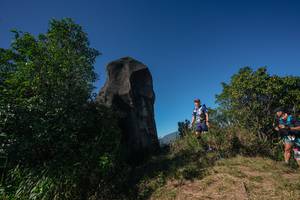 BIB: 
                            <button type="button" onclick="openModal(26585053)" class="btn btn-primary btn-sm float-right btn-popup" data-toggle="modal" data-target=".modal-high-quality">
                        <i class="fas fa-shopping-cart"></i> Add to Cart
                    </button>
                                            <button type="button" onclick="isThisMe(26585053, true)" class="btn btn-success btn-sm float-right btn-popup btn-isme hidden" data-toggle="tooltip" data-placement="bottom" title="นี่คือรูปของคุณใช่ไหม คลิกที่นี่เพื่อเอาเข้าอัลบั้ม">
                        <i class="fas fa-plus"></i> Add to album
                    </button>
                    <button type="button" onclick="isThisMe(26585053, false)" class="btn btn-warning btn-sm float-right btn-popup btn-isnotme hidden">
                        <i class="fas fa-ban"></i> Remove from album
                    </button>