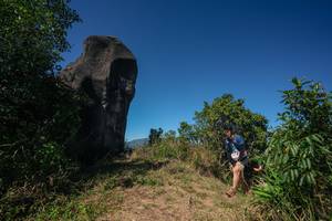 BIB: 
                            <button type="button" onclick="openModal(26582967)" class="btn btn-primary btn-sm float-right btn-popup" data-toggle="modal" data-target=".modal-high-quality">
                        <i class="fas fa-shopping-cart"></i> Add to Cart
                    </button>
                                            <button type="button" onclick="isThisMe(26582967, true)" class="btn btn-success btn-sm float-right btn-popup btn-isme hidden" data-toggle="tooltip" data-placement="bottom" title="นี่คือรูปของคุณใช่ไหม คลิกที่นี่เพื่อเอาเข้าอัลบั้ม">
                        <i class="fas fa-plus"></i> Add to album
                    </button>
                    <button type="button" onclick="isThisMe(26582967, false)" class="btn btn-warning btn-sm float-right btn-popup btn-isnotme hidden">
                        <i class="fas fa-ban"></i> Remove from album
                    </button>