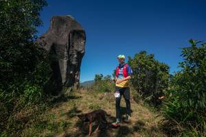 BIB: 
                            <button type="button" onclick="openModal(26576860)" class="btn btn-primary btn-sm float-right btn-popup" data-toggle="modal" data-target=".modal-high-quality">
                        <i class="fas fa-shopping-cart"></i> Add to Cart
                    </button>
                                            <button type="button" onclick="isThisMe(26576860, true)" class="btn btn-success btn-sm float-right btn-popup btn-isme hidden" data-toggle="tooltip" data-placement="bottom" title="นี่คือรูปของคุณใช่ไหม คลิกที่นี่เพื่อเอาเข้าอัลบั้ม">
                        <i class="fas fa-plus"></i> Add to album
                    </button>
                    <button type="button" onclick="isThisMe(26576860, false)" class="btn btn-warning btn-sm float-right btn-popup btn-isnotme hidden">
                        <i class="fas fa-ban"></i> Remove from album
                    </button>