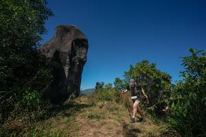 BIB: 
                            <button type="button" onclick="openModal(26579031)" class="btn btn-primary btn-sm float-right btn-popup" data-toggle="modal" data-target=".modal-high-quality">
                        <i class="fas fa-shopping-cart"></i> Add to Cart
                    </button>
                                            <button type="button" onclick="isThisMe(26579031, true)" class="btn btn-success btn-sm float-right btn-popup btn-isme hidden" data-toggle="tooltip" data-placement="bottom" title="นี่คือรูปของคุณใช่ไหม คลิกที่นี่เพื่อเอาเข้าอัลบั้ม">
                        <i class="fas fa-plus"></i> Add to album
                    </button>
                    <button type="button" onclick="isThisMe(26579031, false)" class="btn btn-warning btn-sm float-right btn-popup btn-isnotme hidden">
                        <i class="fas fa-ban"></i> Remove from album
                    </button>