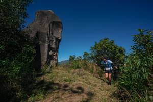 BIB: 
                            <button type="button" onclick="openModal(26574674)" class="btn btn-primary btn-sm float-right btn-popup" data-toggle="modal" data-target=".modal-high-quality">
                        <i class="fas fa-shopping-cart"></i> Add to Cart
                    </button>
                                            <button type="button" onclick="isThisMe(26574674, true)" class="btn btn-success btn-sm float-right btn-popup btn-isme hidden" data-toggle="tooltip" data-placement="bottom" title="นี่คือรูปของคุณใช่ไหม คลิกที่นี่เพื่อเอาเข้าอัลบั้ม">
                        <i class="fas fa-plus"></i> Add to album
                    </button>
                    <button type="button" onclick="isThisMe(26574674, false)" class="btn btn-warning btn-sm float-right btn-popup btn-isnotme hidden">
                        <i class="fas fa-ban"></i> Remove from album
                    </button>