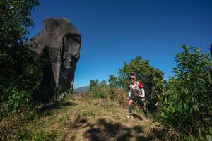 BIB: 
                            <button type="button" onclick="openModal(26577294)" class="btn btn-primary btn-sm float-right btn-popup" data-toggle="modal" data-target=".modal-high-quality">
                        <i class="fas fa-shopping-cart"></i> Add to Cart
                    </button>
                                            <button type="button" onclick="isThisMe(26577294, true)" class="btn btn-success btn-sm float-right btn-popup btn-isme hidden" data-toggle="tooltip" data-placement="bottom" title="นี่คือรูปของคุณใช่ไหม คลิกที่นี่เพื่อเอาเข้าอัลบั้ม">
                        <i class="fas fa-plus"></i> Add to album
                    </button>
                    <button type="button" onclick="isThisMe(26577294, false)" class="btn btn-warning btn-sm float-right btn-popup btn-isnotme hidden">
                        <i class="fas fa-ban"></i> Remove from album
                    </button>