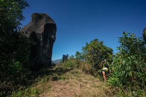 BIB: 
                            <button type="button" onclick="openModal(26583475)" class="btn btn-primary btn-sm float-right btn-popup" data-toggle="modal" data-target=".modal-high-quality">
                        <i class="fas fa-shopping-cart"></i> Add to Cart
                    </button>
                                            <button type="button" onclick="isThisMe(26583475, true)" class="btn btn-success btn-sm float-right btn-popup btn-isme hidden" data-toggle="tooltip" data-placement="bottom" title="นี่คือรูปของคุณใช่ไหม คลิกที่นี่เพื่อเอาเข้าอัลบั้ม">
                        <i class="fas fa-plus"></i> Add to album
                    </button>
                    <button type="button" onclick="isThisMe(26583475, false)" class="btn btn-warning btn-sm float-right btn-popup btn-isnotme hidden">
                        <i class="fas fa-ban"></i> Remove from album
                    </button>