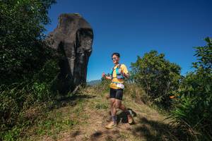 BIB: 
                            <button type="button" onclick="openModal(26578249)" class="btn btn-primary btn-sm float-right btn-popup" data-toggle="modal" data-target=".modal-high-quality">
                        <i class="fas fa-shopping-cart"></i> Add to Cart
                    </button>
                                            <button type="button" onclick="isThisMe(26578249, true)" class="btn btn-success btn-sm float-right btn-popup btn-isme hidden" data-toggle="tooltip" data-placement="bottom" title="นี่คือรูปของคุณใช่ไหม คลิกที่นี่เพื่อเอาเข้าอัลบั้ม">
                        <i class="fas fa-plus"></i> Add to album
                    </button>
                    <button type="button" onclick="isThisMe(26578249, false)" class="btn btn-warning btn-sm float-right btn-popup btn-isnotme hidden">
                        <i class="fas fa-ban"></i> Remove from album
                    </button>