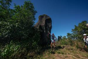 BIB: 
                            <button type="button" onclick="openModal(26582180)" class="btn btn-primary btn-sm float-right btn-popup" data-toggle="modal" data-target=".modal-high-quality">
                        <i class="fas fa-shopping-cart"></i> Add to Cart
                    </button>
                                            <button type="button" onclick="isThisMe(26582180, true)" class="btn btn-success btn-sm float-right btn-popup btn-isme hidden" data-toggle="tooltip" data-placement="bottom" title="นี่คือรูปของคุณใช่ไหม คลิกที่นี่เพื่อเอาเข้าอัลบั้ม">
                        <i class="fas fa-plus"></i> Add to album
                    </button>
                    <button type="button" onclick="isThisMe(26582180, false)" class="btn btn-warning btn-sm float-right btn-popup btn-isnotme hidden">
                        <i class="fas fa-ban"></i> Remove from album
                    </button>