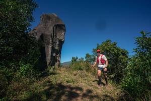 BIB: 
                            <button type="button" onclick="openModal(26576149)" class="btn btn-primary btn-sm float-right btn-popup" data-toggle="modal" data-target=".modal-high-quality">
                        <i class="fas fa-shopping-cart"></i> Add to Cart
                    </button>
                                            <button type="button" onclick="isThisMe(26576149, true)" class="btn btn-success btn-sm float-right btn-popup btn-isme hidden" data-toggle="tooltip" data-placement="bottom" title="นี่คือรูปของคุณใช่ไหม คลิกที่นี่เพื่อเอาเข้าอัลบั้ม">
                        <i class="fas fa-plus"></i> Add to album
                    </button>
                    <button type="button" onclick="isThisMe(26576149, false)" class="btn btn-warning btn-sm float-right btn-popup btn-isnotme hidden">
                        <i class="fas fa-ban"></i> Remove from album
                    </button>