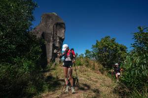 BIB: 
                            <button type="button" onclick="openModal(26574987)" class="btn btn-primary btn-sm float-right btn-popup" data-toggle="modal" data-target=".modal-high-quality">
                        <i class="fas fa-shopping-cart"></i> Add to Cart
                    </button>
                                            <button type="button" onclick="isThisMe(26574987, true)" class="btn btn-success btn-sm float-right btn-popup btn-isme hidden" data-toggle="tooltip" data-placement="bottom" title="นี่คือรูปของคุณใช่ไหม คลิกที่นี่เพื่อเอาเข้าอัลบั้ม">
                        <i class="fas fa-plus"></i> Add to album
                    </button>
                    <button type="button" onclick="isThisMe(26574987, false)" class="btn btn-warning btn-sm float-right btn-popup btn-isnotme hidden">
                        <i class="fas fa-ban"></i> Remove from album
                    </button>