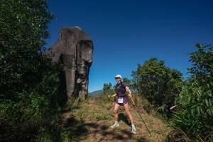 BIB: 
                            <button type="button" onclick="openModal(26575026)" class="btn btn-primary btn-sm float-right btn-popup" data-toggle="modal" data-target=".modal-high-quality">
                        <i class="fas fa-shopping-cart"></i> Add to Cart
                    </button>
                                            <button type="button" onclick="isThisMe(26575026, true)" class="btn btn-success btn-sm float-right btn-popup btn-isme hidden" data-toggle="tooltip" data-placement="bottom" title="นี่คือรูปของคุณใช่ไหม คลิกที่นี่เพื่อเอาเข้าอัลบั้ม">
                        <i class="fas fa-plus"></i> Add to album
                    </button>
                    <button type="button" onclick="isThisMe(26575026, false)" class="btn btn-warning btn-sm float-right btn-popup btn-isnotme hidden">
                        <i class="fas fa-ban"></i> Remove from album
                    </button>