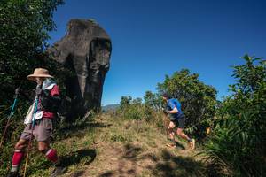 BIB: 
                            <button type="button" onclick="openModal(26578122)" class="btn btn-primary btn-sm float-right btn-popup" data-toggle="modal" data-target=".modal-high-quality">
                        <i class="fas fa-shopping-cart"></i> Add to Cart
                    </button>
                                            <button type="button" onclick="isThisMe(26578122, true)" class="btn btn-success btn-sm float-right btn-popup btn-isme hidden" data-toggle="tooltip" data-placement="bottom" title="นี่คือรูปของคุณใช่ไหม คลิกที่นี่เพื่อเอาเข้าอัลบั้ม">
                        <i class="fas fa-plus"></i> Add to album
                    </button>
                    <button type="button" onclick="isThisMe(26578122, false)" class="btn btn-warning btn-sm float-right btn-popup btn-isnotme hidden">
                        <i class="fas fa-ban"></i> Remove from album
                    </button>