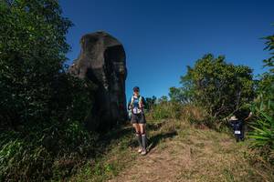 BIB: 
                            <button type="button" onclick="openModal(26582704)" class="btn btn-primary btn-sm float-right btn-popup" data-toggle="modal" data-target=".modal-high-quality">
                        <i class="fas fa-shopping-cart"></i> Add to Cart
                    </button>
                                            <button type="button" onclick="isThisMe(26582704, true)" class="btn btn-success btn-sm float-right btn-popup btn-isme hidden" data-toggle="tooltip" data-placement="bottom" title="นี่คือรูปของคุณใช่ไหม คลิกที่นี่เพื่อเอาเข้าอัลบั้ม">
                        <i class="fas fa-plus"></i> Add to album
                    </button>
                    <button type="button" onclick="isThisMe(26582704, false)" class="btn btn-warning btn-sm float-right btn-popup btn-isnotme hidden">
                        <i class="fas fa-ban"></i> Remove from album
                    </button>