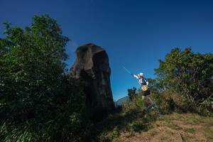 BIB: 
                            <button type="button" onclick="openModal(26585090)" class="btn btn-primary btn-sm float-right btn-popup" data-toggle="modal" data-target=".modal-high-quality">
                        <i class="fas fa-shopping-cart"></i> Add to Cart
                    </button>
                                            <button type="button" onclick="isThisMe(26585090, true)" class="btn btn-success btn-sm float-right btn-popup btn-isme hidden" data-toggle="tooltip" data-placement="bottom" title="นี่คือรูปของคุณใช่ไหม คลิกที่นี่เพื่อเอาเข้าอัลบั้ม">
                        <i class="fas fa-plus"></i> Add to album
                    </button>
                    <button type="button" onclick="isThisMe(26585090, false)" class="btn btn-warning btn-sm float-right btn-popup btn-isnotme hidden">
                        <i class="fas fa-ban"></i> Remove from album
                    </button>