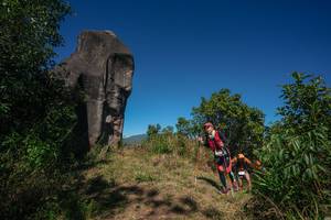 BIB: 
                            <button type="button" onclick="openModal(26575240)" class="btn btn-primary btn-sm float-right btn-popup" data-toggle="modal" data-target=".modal-high-quality">
                        <i class="fas fa-shopping-cart"></i> Add to Cart
                    </button>
                                            <button type="button" onclick="isThisMe(26575240, true)" class="btn btn-success btn-sm float-right btn-popup btn-isme hidden" data-toggle="tooltip" data-placement="bottom" title="นี่คือรูปของคุณใช่ไหม คลิกที่นี่เพื่อเอาเข้าอัลบั้ม">
                        <i class="fas fa-plus"></i> Add to album
                    </button>
                    <button type="button" onclick="isThisMe(26575240, false)" class="btn btn-warning btn-sm float-right btn-popup btn-isnotme hidden">
                        <i class="fas fa-ban"></i> Remove from album
                    </button>