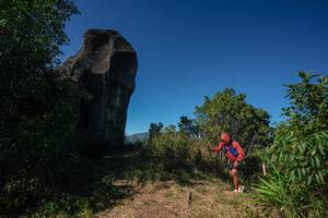 BIB: 
                            <button type="button" onclick="openModal(26587765)" class="btn btn-primary btn-sm float-right btn-popup" data-toggle="modal" data-target=".modal-high-quality">
                        <i class="fas fa-shopping-cart"></i> Add to Cart
                    </button>
                                            <button type="button" onclick="isThisMe(26587765, true)" class="btn btn-success btn-sm float-right btn-popup btn-isme hidden" data-toggle="tooltip" data-placement="bottom" title="นี่คือรูปของคุณใช่ไหม คลิกที่นี่เพื่อเอาเข้าอัลบั้ม">
                        <i class="fas fa-plus"></i> Add to album
                    </button>
                    <button type="button" onclick="isThisMe(26587765, false)" class="btn btn-warning btn-sm float-right btn-popup btn-isnotme hidden">
                        <i class="fas fa-ban"></i> Remove from album
                    </button>