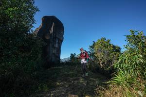 BIB: 
                            <button type="button" onclick="openModal(26592385)" class="btn btn-primary btn-sm float-right btn-popup" data-toggle="modal" data-target=".modal-high-quality">
                        <i class="fas fa-shopping-cart"></i> Add to Cart
                    </button>
                                            <button type="button" onclick="isThisMe(26592385, true)" class="btn btn-success btn-sm float-right btn-popup btn-isme hidden" data-toggle="tooltip" data-placement="bottom" title="นี่คือรูปของคุณใช่ไหม คลิกที่นี่เพื่อเอาเข้าอัลบั้ม">
                        <i class="fas fa-plus"></i> Add to album
                    </button>
                    <button type="button" onclick="isThisMe(26592385, false)" class="btn btn-warning btn-sm float-right btn-popup btn-isnotme hidden">
                        <i class="fas fa-ban"></i> Remove from album
                    </button>