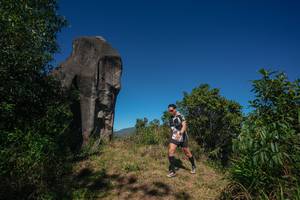 BIB: 
                            <button type="button" onclick="openModal(26574862)" class="btn btn-primary btn-sm float-right btn-popup" data-toggle="modal" data-target=".modal-high-quality">
                        <i class="fas fa-shopping-cart"></i> Add to Cart
                    </button>
                                            <button type="button" onclick="isThisMe(26574862, true)" class="btn btn-success btn-sm float-right btn-popup btn-isme hidden" data-toggle="tooltip" data-placement="bottom" title="นี่คือรูปของคุณใช่ไหม คลิกที่นี่เพื่อเอาเข้าอัลบั้ม">
                        <i class="fas fa-plus"></i> Add to album
                    </button>
                    <button type="button" onclick="isThisMe(26574862, false)" class="btn btn-warning btn-sm float-right btn-popup btn-isnotme hidden">
                        <i class="fas fa-ban"></i> Remove from album
                    </button>