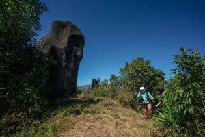 BIB: 
                            <button type="button" onclick="openModal(26582743)" class="btn btn-primary btn-sm float-right btn-popup" data-toggle="modal" data-target=".modal-high-quality">
                        <i class="fas fa-shopping-cart"></i> Add to Cart
                    </button>
                                            <button type="button" onclick="isThisMe(26582743, true)" class="btn btn-success btn-sm float-right btn-popup btn-isme hidden" data-toggle="tooltip" data-placement="bottom" title="นี่คือรูปของคุณใช่ไหม คลิกที่นี่เพื่อเอาเข้าอัลบั้ม">
                        <i class="fas fa-plus"></i> Add to album
                    </button>
                    <button type="button" onclick="isThisMe(26582743, false)" class="btn btn-warning btn-sm float-right btn-popup btn-isnotme hidden">
                        <i class="fas fa-ban"></i> Remove from album
                    </button>