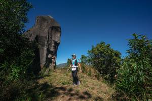 BIB: 
                            <button type="button" onclick="openModal(26575330)" class="btn btn-primary btn-sm float-right btn-popup" data-toggle="modal" data-target=".modal-high-quality">
                        <i class="fas fa-shopping-cart"></i> Add to Cart
                    </button>
                                            <button type="button" onclick="isThisMe(26575330, true)" class="btn btn-success btn-sm float-right btn-popup btn-isme hidden" data-toggle="tooltip" data-placement="bottom" title="นี่คือรูปของคุณใช่ไหม คลิกที่นี่เพื่อเอาเข้าอัลบั้ม">
                        <i class="fas fa-plus"></i> Add to album
                    </button>
                    <button type="button" onclick="isThisMe(26575330, false)" class="btn btn-warning btn-sm float-right btn-popup btn-isnotme hidden">
                        <i class="fas fa-ban"></i> Remove from album
                    </button>