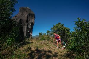 BIB: 
                            <button type="button" onclick="openModal(26576682)" class="btn btn-primary btn-sm float-right btn-popup" data-toggle="modal" data-target=".modal-high-quality">
                        <i class="fas fa-shopping-cart"></i> Add to Cart
                    </button>
                                            <button type="button" onclick="isThisMe(26576682, true)" class="btn btn-success btn-sm float-right btn-popup btn-isme hidden" data-toggle="tooltip" data-placement="bottom" title="นี่คือรูปของคุณใช่ไหม คลิกที่นี่เพื่อเอาเข้าอัลบั้ม">
                        <i class="fas fa-plus"></i> Add to album
                    </button>
                    <button type="button" onclick="isThisMe(26576682, false)" class="btn btn-warning btn-sm float-right btn-popup btn-isnotme hidden">
                        <i class="fas fa-ban"></i> Remove from album
                    </button>