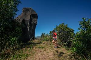 BIB: 
                            <button type="button" onclick="openModal(26579406)" class="btn btn-primary btn-sm float-right btn-popup" data-toggle="modal" data-target=".modal-high-quality">
                        <i class="fas fa-shopping-cart"></i> Add to Cart
                    </button>
                                            <button type="button" onclick="isThisMe(26579406, true)" class="btn btn-success btn-sm float-right btn-popup btn-isme hidden" data-toggle="tooltip" data-placement="bottom" title="นี่คือรูปของคุณใช่ไหม คลิกที่นี่เพื่อเอาเข้าอัลบั้ม">
                        <i class="fas fa-plus"></i> Add to album
                    </button>
                    <button type="button" onclick="isThisMe(26579406, false)" class="btn btn-warning btn-sm float-right btn-popup btn-isnotme hidden">
                        <i class="fas fa-ban"></i> Remove from album
                    </button>