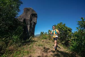 BIB: 
                            <button type="button" onclick="openModal(26578244)" class="btn btn-primary btn-sm float-right btn-popup" data-toggle="modal" data-target=".modal-high-quality">
                        <i class="fas fa-shopping-cart"></i> Add to Cart
                    </button>
                                            <button type="button" onclick="isThisMe(26578244, true)" class="btn btn-success btn-sm float-right btn-popup btn-isme hidden" data-toggle="tooltip" data-placement="bottom" title="นี่คือรูปของคุณใช่ไหม คลิกที่นี่เพื่อเอาเข้าอัลบั้ม">
                        <i class="fas fa-plus"></i> Add to album
                    </button>
                    <button type="button" onclick="isThisMe(26578244, false)" class="btn btn-warning btn-sm float-right btn-popup btn-isnotme hidden">
                        <i class="fas fa-ban"></i> Remove from album
                    </button>