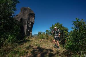 BIB: 
                            <button type="button" onclick="openModal(26576935)" class="btn btn-primary btn-sm float-right btn-popup" data-toggle="modal" data-target=".modal-high-quality">
                        <i class="fas fa-shopping-cart"></i> Add to Cart
                    </button>
                                            <button type="button" onclick="isThisMe(26576935, true)" class="btn btn-success btn-sm float-right btn-popup btn-isme hidden" data-toggle="tooltip" data-placement="bottom" title="นี่คือรูปของคุณใช่ไหม คลิกที่นี่เพื่อเอาเข้าอัลบั้ม">
                        <i class="fas fa-plus"></i> Add to album
                    </button>
                    <button type="button" onclick="isThisMe(26576935, false)" class="btn btn-warning btn-sm float-right btn-popup btn-isnotme hidden">
                        <i class="fas fa-ban"></i> Remove from album
                    </button>