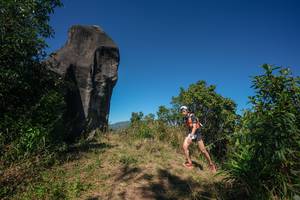 BIB: 
                            <button type="button" onclick="openModal(26577703)" class="btn btn-primary btn-sm float-right btn-popup" data-toggle="modal" data-target=".modal-high-quality">
                        <i class="fas fa-shopping-cart"></i> Add to Cart
                    </button>
                                            <button type="button" onclick="isThisMe(26577703, true)" class="btn btn-success btn-sm float-right btn-popup btn-isme hidden" data-toggle="tooltip" data-placement="bottom" title="นี่คือรูปของคุณใช่ไหม คลิกที่นี่เพื่อเอาเข้าอัลบั้ม">
                        <i class="fas fa-plus"></i> Add to album
                    </button>
                    <button type="button" onclick="isThisMe(26577703, false)" class="btn btn-warning btn-sm float-right btn-popup btn-isnotme hidden">
                        <i class="fas fa-ban"></i> Remove from album
                    </button>