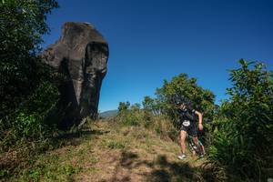 BIB: 
                            <button type="button" onclick="openModal(26577988)" class="btn btn-primary btn-sm float-right btn-popup" data-toggle="modal" data-target=".modal-high-quality">
                        <i class="fas fa-shopping-cart"></i> Add to Cart
                    </button>
                                            <button type="button" onclick="isThisMe(26577988, true)" class="btn btn-success btn-sm float-right btn-popup btn-isme hidden" data-toggle="tooltip" data-placement="bottom" title="นี่คือรูปของคุณใช่ไหม คลิกที่นี่เพื่อเอาเข้าอัลบั้ม">
                        <i class="fas fa-plus"></i> Add to album
                    </button>
                    <button type="button" onclick="isThisMe(26577988, false)" class="btn btn-warning btn-sm float-right btn-popup btn-isnotme hidden">
                        <i class="fas fa-ban"></i> Remove from album
                    </button>