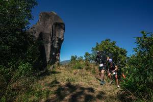 BIB: 
                            <button type="button" onclick="openModal(26576766)" class="btn btn-primary btn-sm float-right btn-popup" data-toggle="modal" data-target=".modal-high-quality">
                        <i class="fas fa-shopping-cart"></i> Add to Cart
                    </button>
                                            <button type="button" onclick="isThisMe(26576766, true)" class="btn btn-success btn-sm float-right btn-popup btn-isme hidden" data-toggle="tooltip" data-placement="bottom" title="นี่คือรูปของคุณใช่ไหม คลิกที่นี่เพื่อเอาเข้าอัลบั้ม">
                        <i class="fas fa-plus"></i> Add to album
                    </button>
                    <button type="button" onclick="isThisMe(26576766, false)" class="btn btn-warning btn-sm float-right btn-popup btn-isnotme hidden">
                        <i class="fas fa-ban"></i> Remove from album
                    </button>