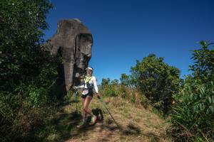 BIB: 
                            <button type="button" onclick="openModal(26575485)" class="btn btn-primary btn-sm float-right btn-popup" data-toggle="modal" data-target=".modal-high-quality">
                        <i class="fas fa-shopping-cart"></i> Add to Cart
                    </button>
                                            <button type="button" onclick="isThisMe(26575485, true)" class="btn btn-success btn-sm float-right btn-popup btn-isme hidden" data-toggle="tooltip" data-placement="bottom" title="นี่คือรูปของคุณใช่ไหม คลิกที่นี่เพื่อเอาเข้าอัลบั้ม">
                        <i class="fas fa-plus"></i> Add to album
                    </button>
                    <button type="button" onclick="isThisMe(26575485, false)" class="btn btn-warning btn-sm float-right btn-popup btn-isnotme hidden">
                        <i class="fas fa-ban"></i> Remove from album
                    </button>