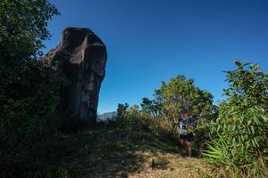 BIB: 
                            <button type="button" onclick="openModal(26591569)" class="btn btn-primary btn-sm float-right btn-popup" data-toggle="modal" data-target=".modal-high-quality">
                        <i class="fas fa-shopping-cart"></i> Add to Cart
                    </button>
                                            <button type="button" onclick="isThisMe(26591569, true)" class="btn btn-success btn-sm float-right btn-popup btn-isme hidden" data-toggle="tooltip" data-placement="bottom" title="นี่คือรูปของคุณใช่ไหม คลิกที่นี่เพื่อเอาเข้าอัลบั้ม">
                        <i class="fas fa-plus"></i> Add to album
                    </button>
                    <button type="button" onclick="isThisMe(26591569, false)" class="btn btn-warning btn-sm float-right btn-popup btn-isnotme hidden">
                        <i class="fas fa-ban"></i> Remove from album
                    </button>